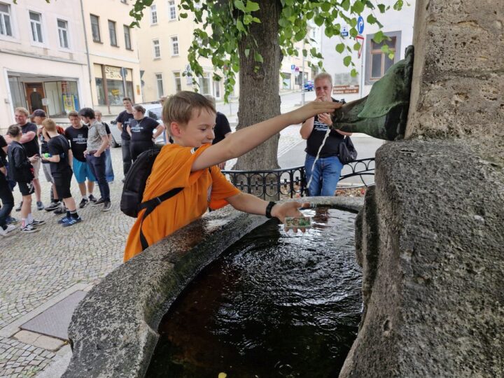Bild_8